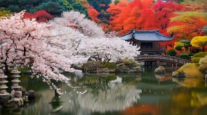 桜と紅葉が綺麗な日本庭園