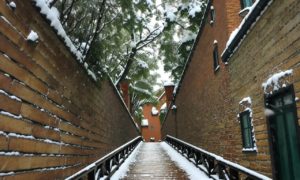 猿島に雪が降る